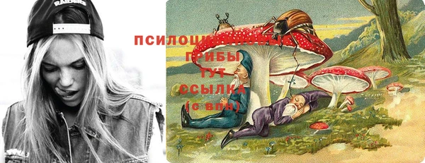 ешки Заволжск