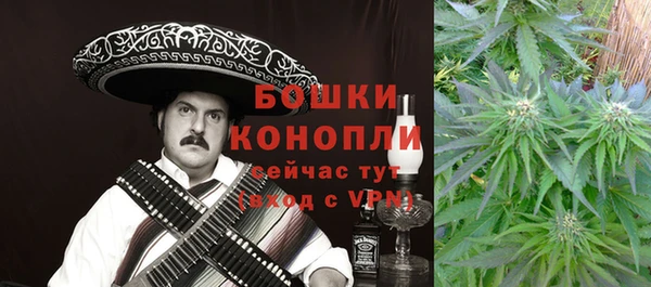 метадон Заводоуковск