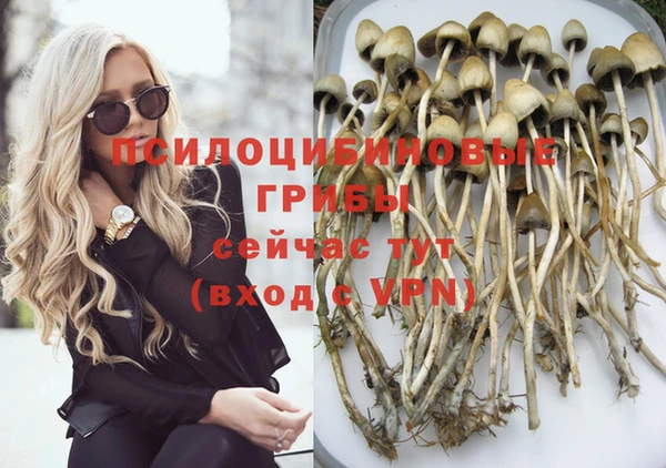 ешки Заволжск