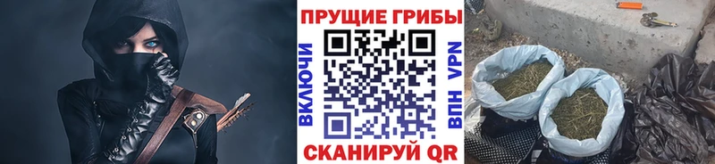 Псилоцибиновые грибы Psilocybine cubensis Кадников