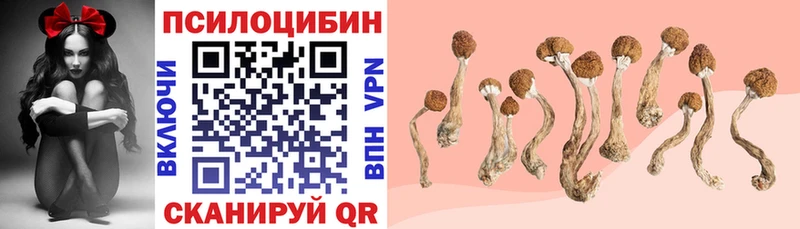 Псилоцибиновые грибы Psilocybine cubensis Кадников